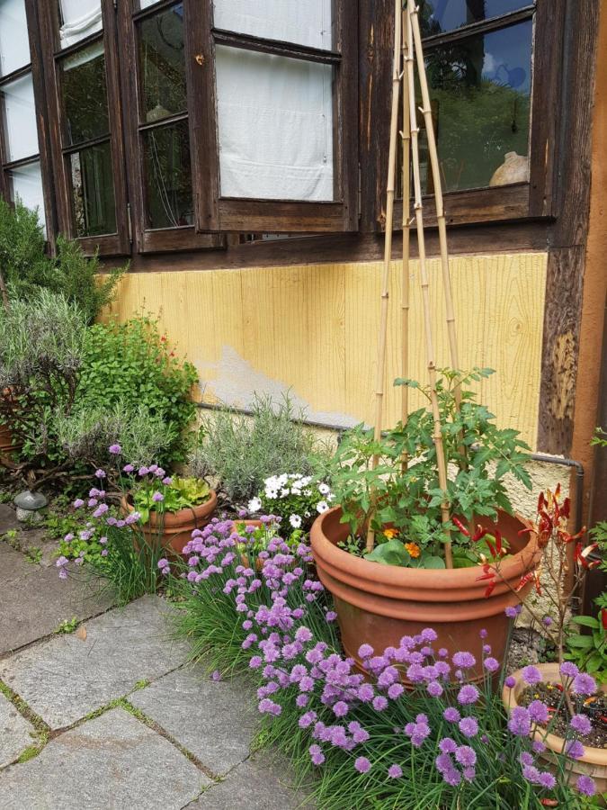 Ca Balossa, Tremezzina Di Davanti A Bellagio E Balbianello Apartment *