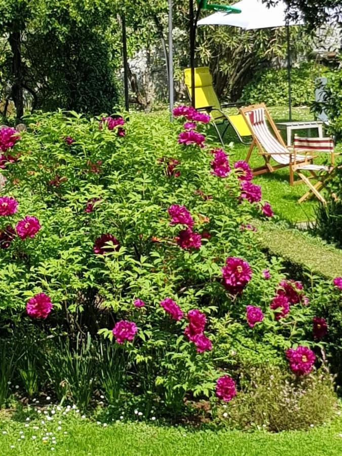 Ca Balossa, Tremezzina Di Davanti A Bellagio E Balbianello Apartment