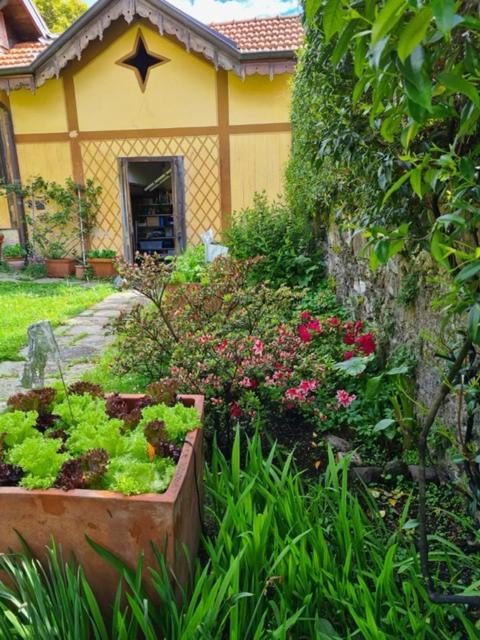 Apartment Ca Balossa, Tremezzina Di Davanti A Bellagio E Balbianello